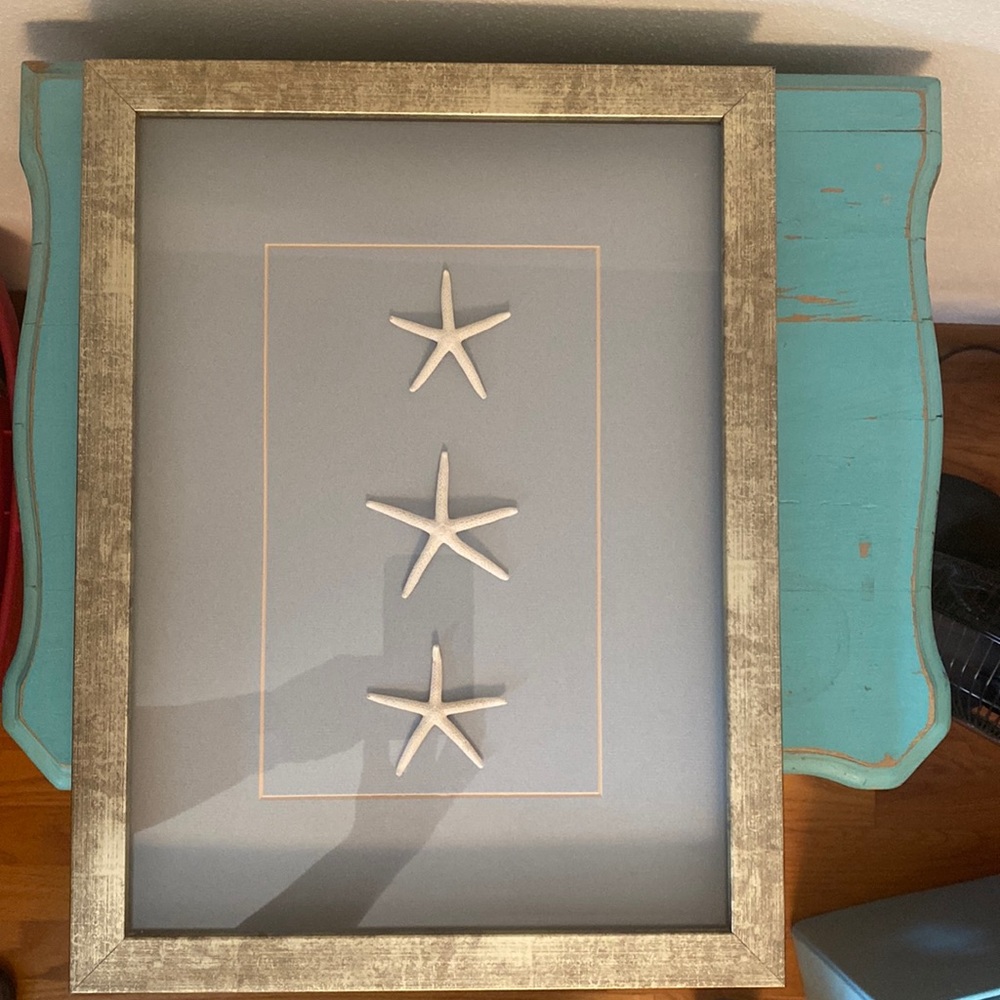 Beautiful starfish art